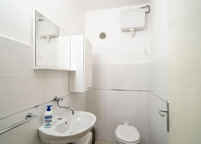 Rose 2 * 杜布罗夫尼克